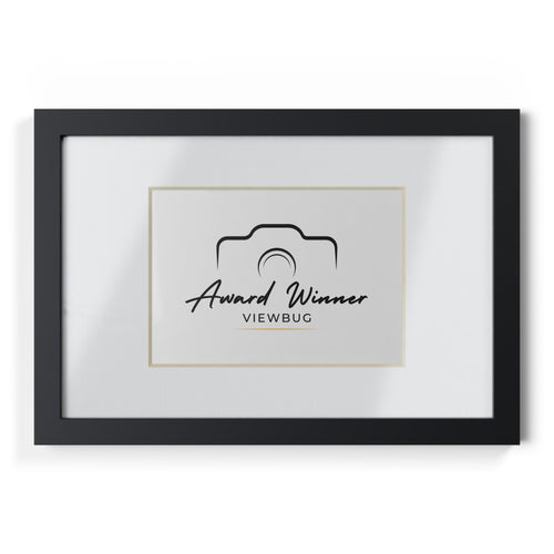 Award Winner Lens Frame